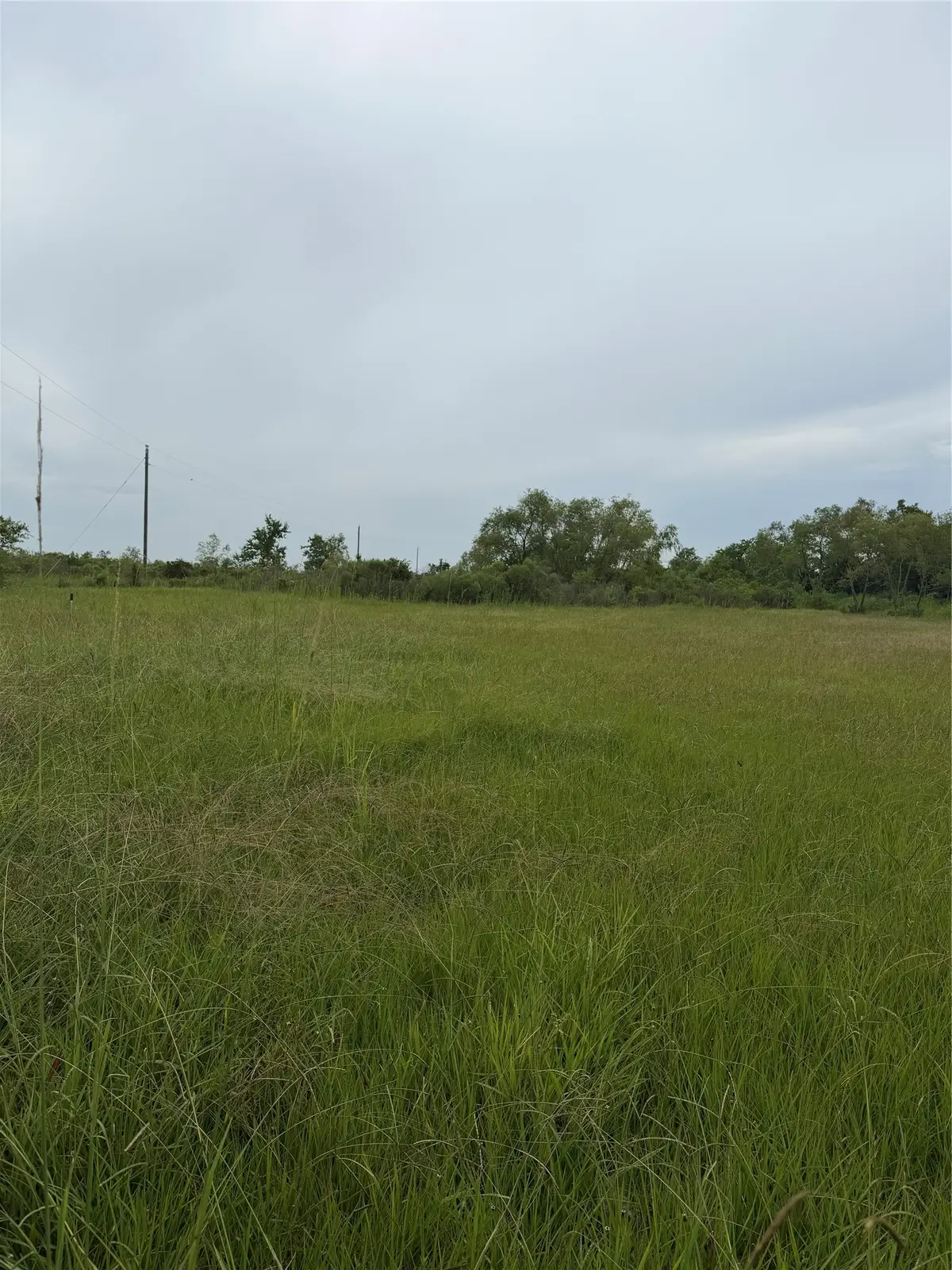 1597 Fm 686, Dayton, TX 77535 - #1
