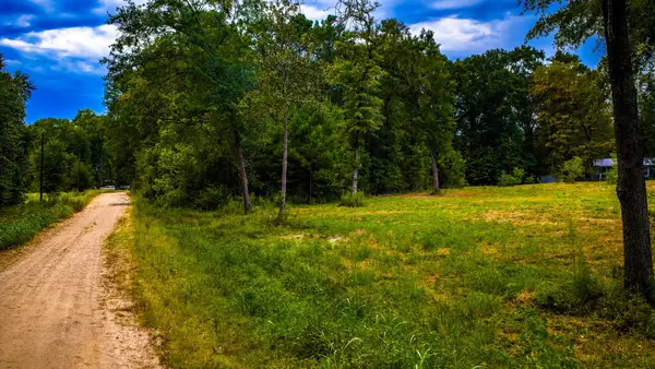 TBD Forest Drive, Livingston, TX 77351