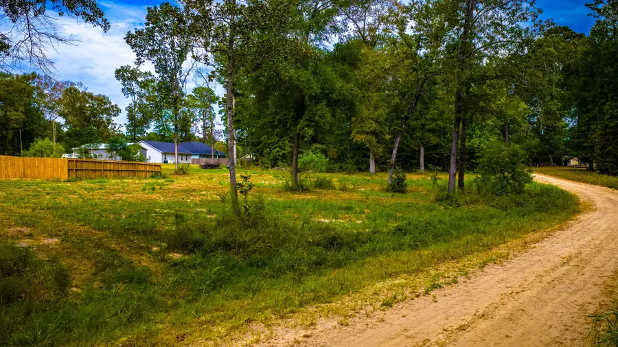 TBD Forest Drive, Livingston, TX 77351 - #2