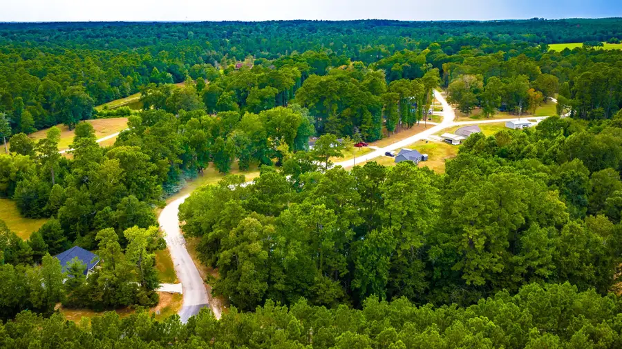TBD Forest Drive, Livingston, TX 77351 - #3