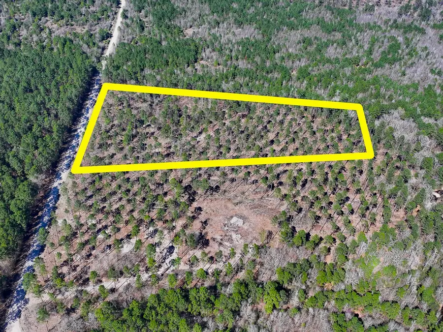 1 Boontown Road, Trinity, TX 75845 - #2