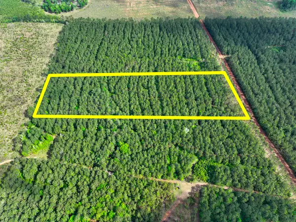 0 T-3 Benny Griffen Road, Livingston, TX 77351