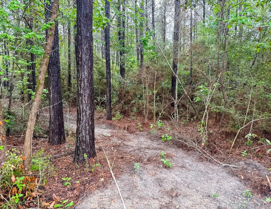 0 T-3 Benny Griffen Road, Livingston, TX 77351 - #2