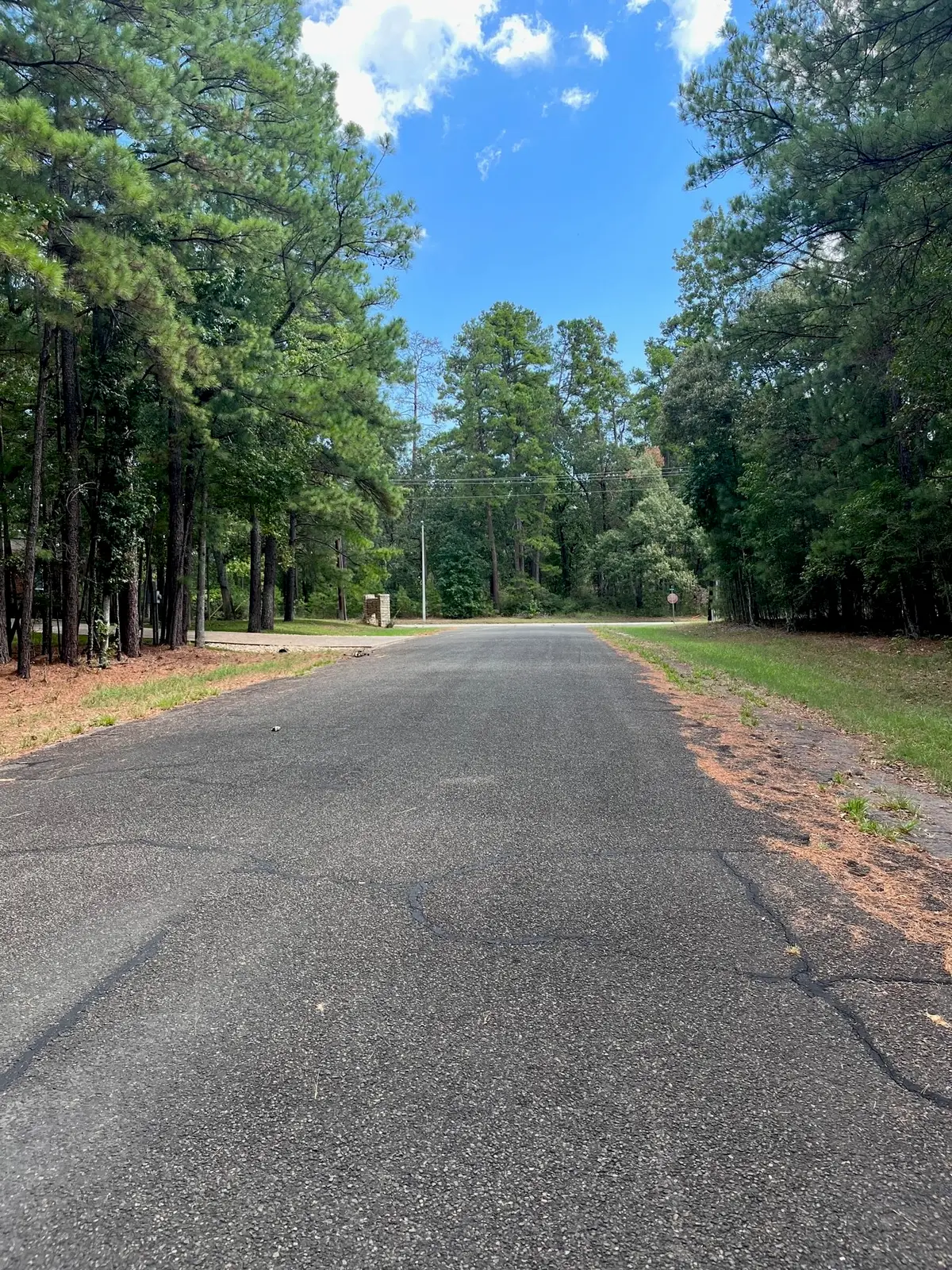 0 Pine Valley, Huntsville, TX 77320 - #1
