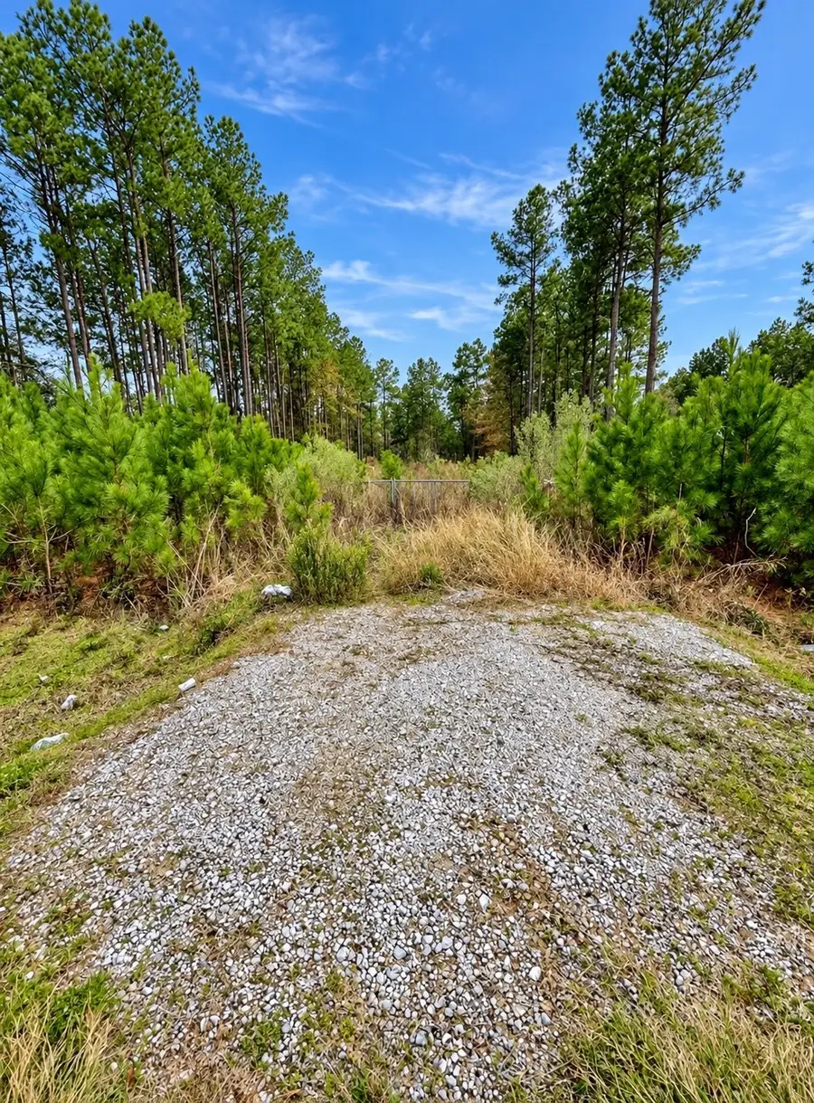 184 County Road 3544, Cleveland, TX 77327 - #2
