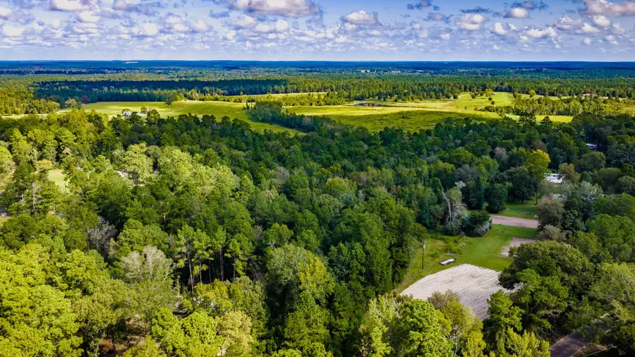 TBD Old Israel Road, Livingston, TX 77351 - #3