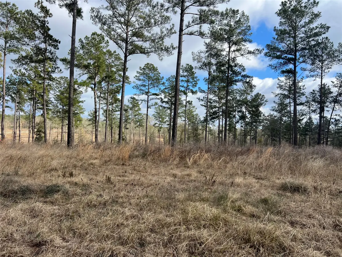 TBD 7 Red Lowe Road, Livingston, TX 77351 - Image #1