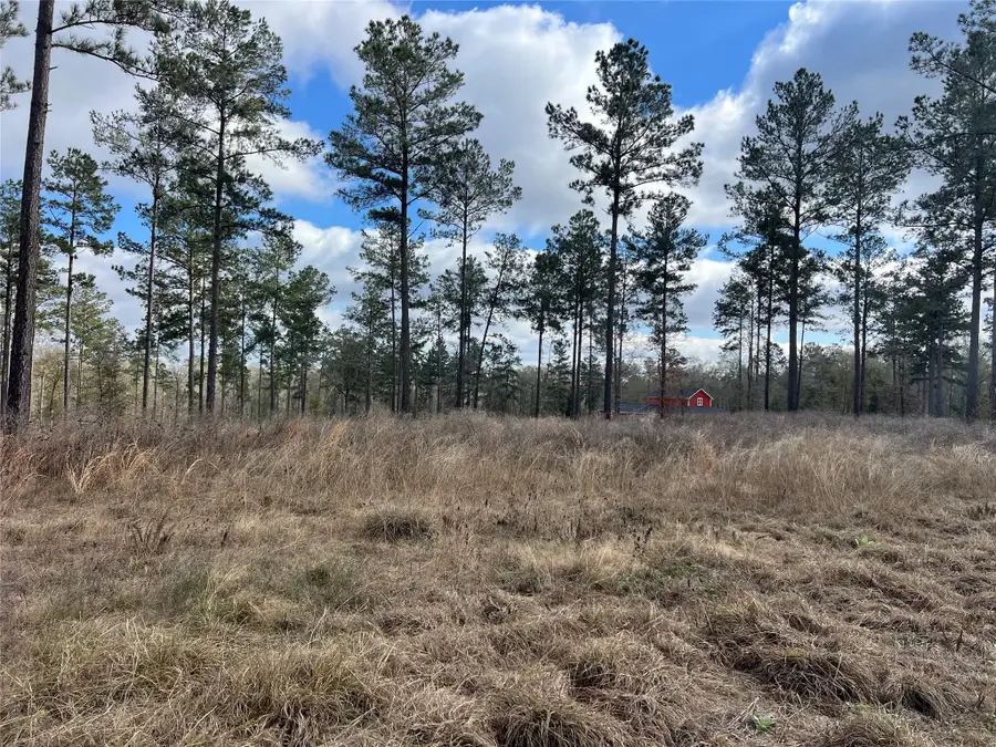 TBD 7 Red Lowe Road, Livingston, TX 77351 - Image #2