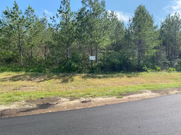 11873 Moss Grove Court, Willis, TX 77378