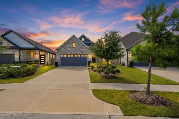 17766 Tree Of Heaven, Conroe, TX 77385