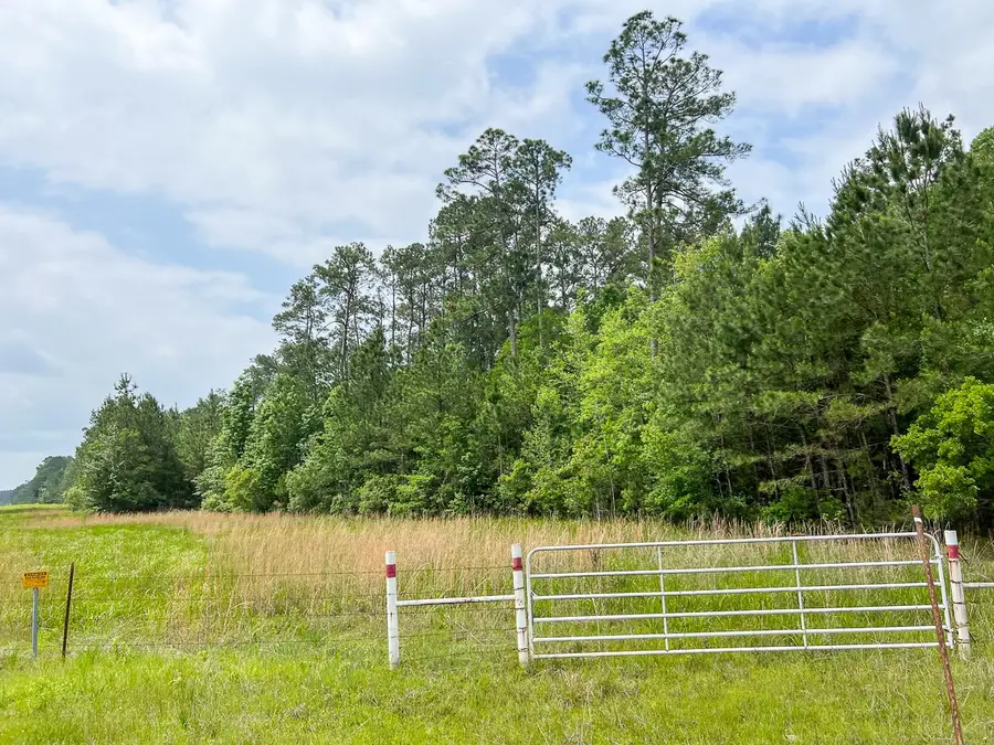 C-1 Fm 2937, Silsbee, TX 77656 - #3