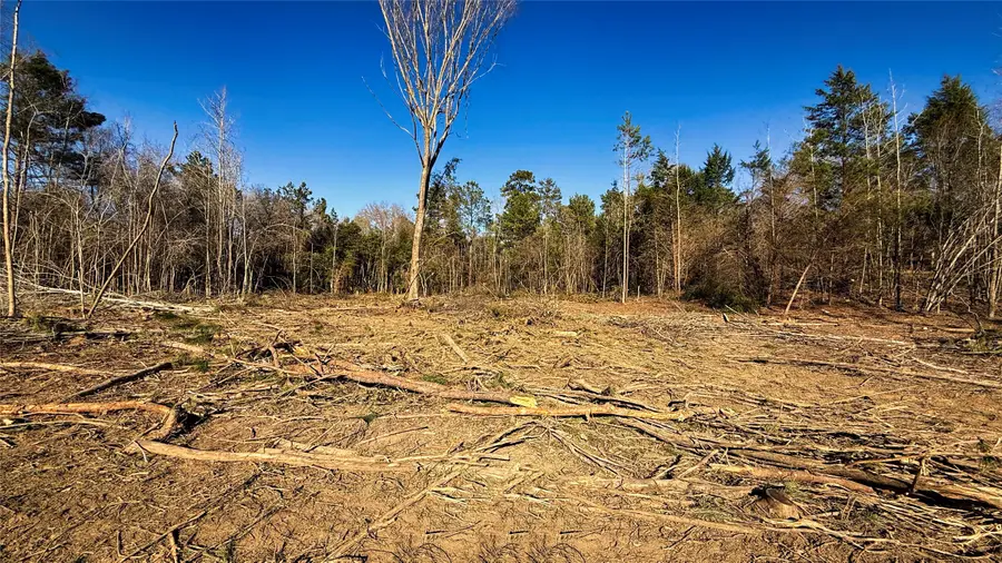 TBD #13 County Road 475a, Henderson, TX 75654 - #3