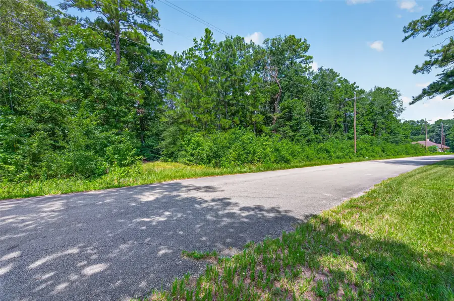 19296 Riverwalk Drive, Porter, TX 77365 - #3