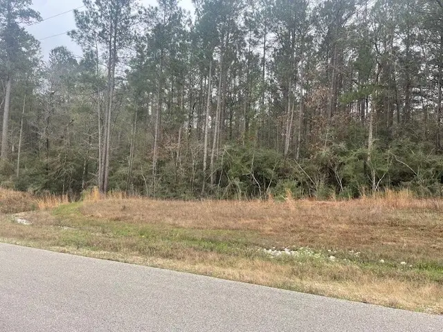 155 Copperleaf Road, Huntsville, TX 77340 - #3