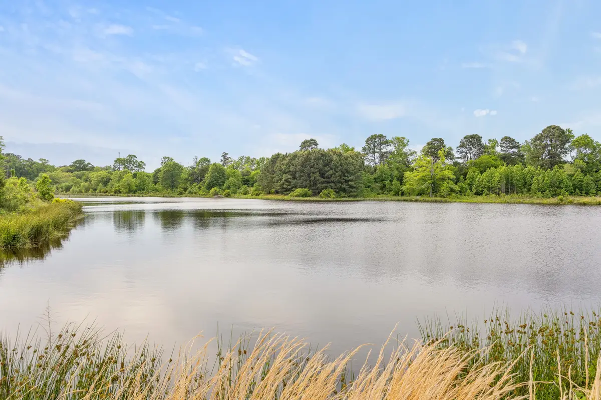 715 Crepe Myrtle Road, Big Sandy, TX 75755 - #1