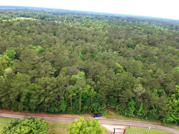 16.7 Acres Co Rd 1375, Warren, TX 77664