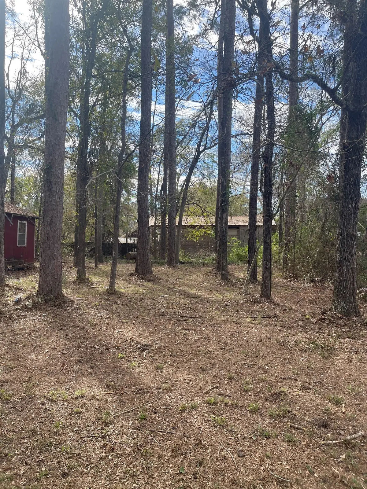 TBD Honeysuckle, Livingston, TX 77351 - #1
