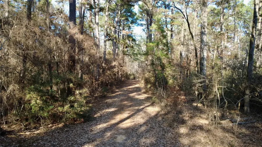 1497 County Road 1170, Kennard, TX 75847 - Image #2