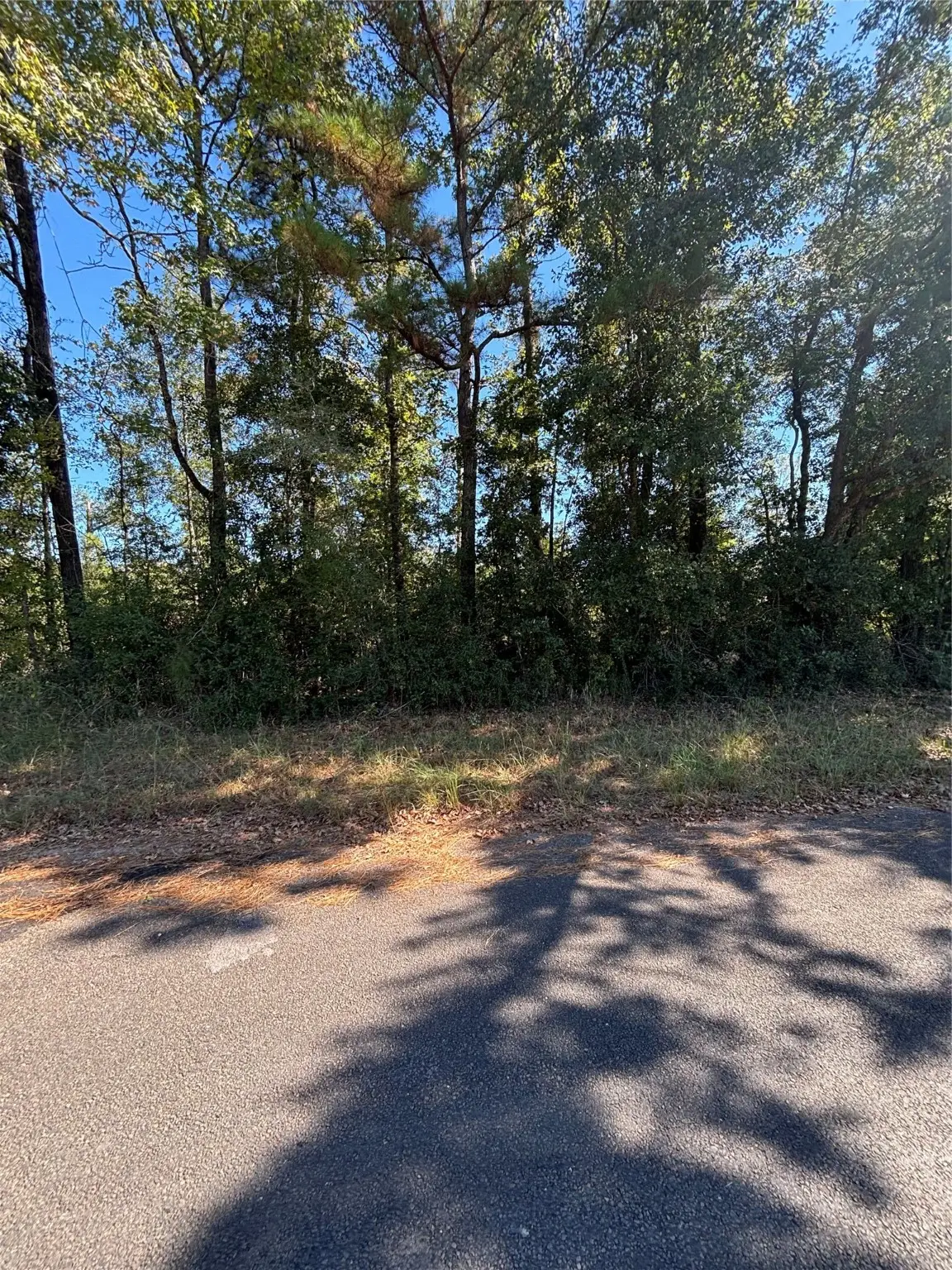 0 Old Highway 35 N, Livingston, TX 77351 - Image #1