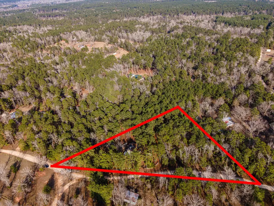 TBD County Road 1172, Kennard Ratcliff, TX 75858 - #3