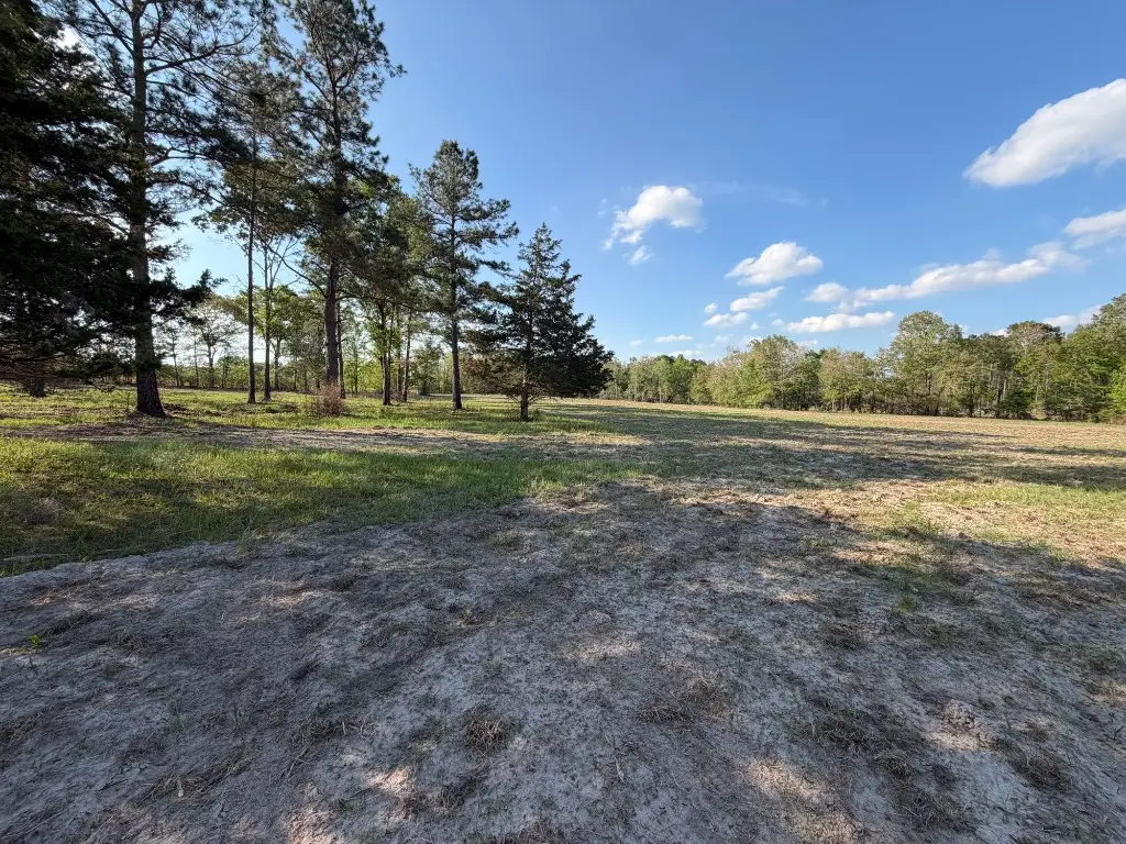 TBD N County Road 4050, Lovelady, TX 75851 - #1