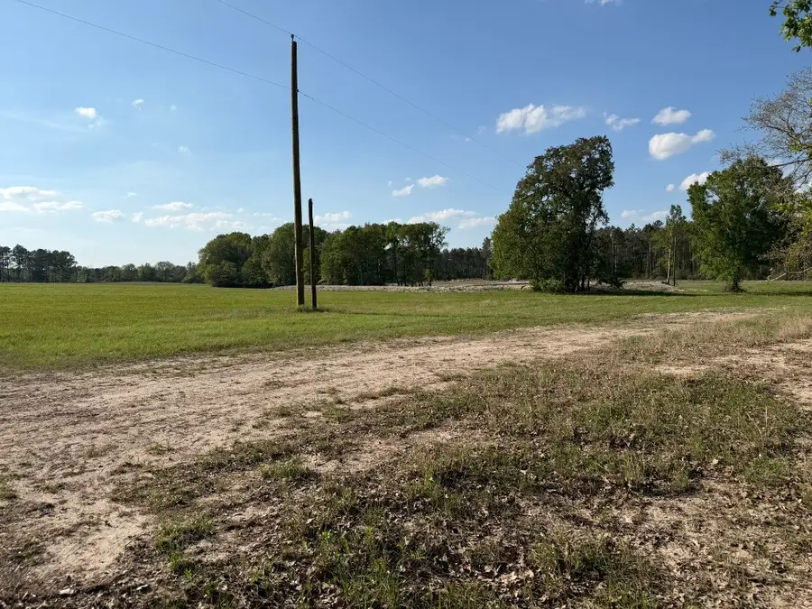 TBD N County Road 4050, Lovelady, TX 75851 - #2