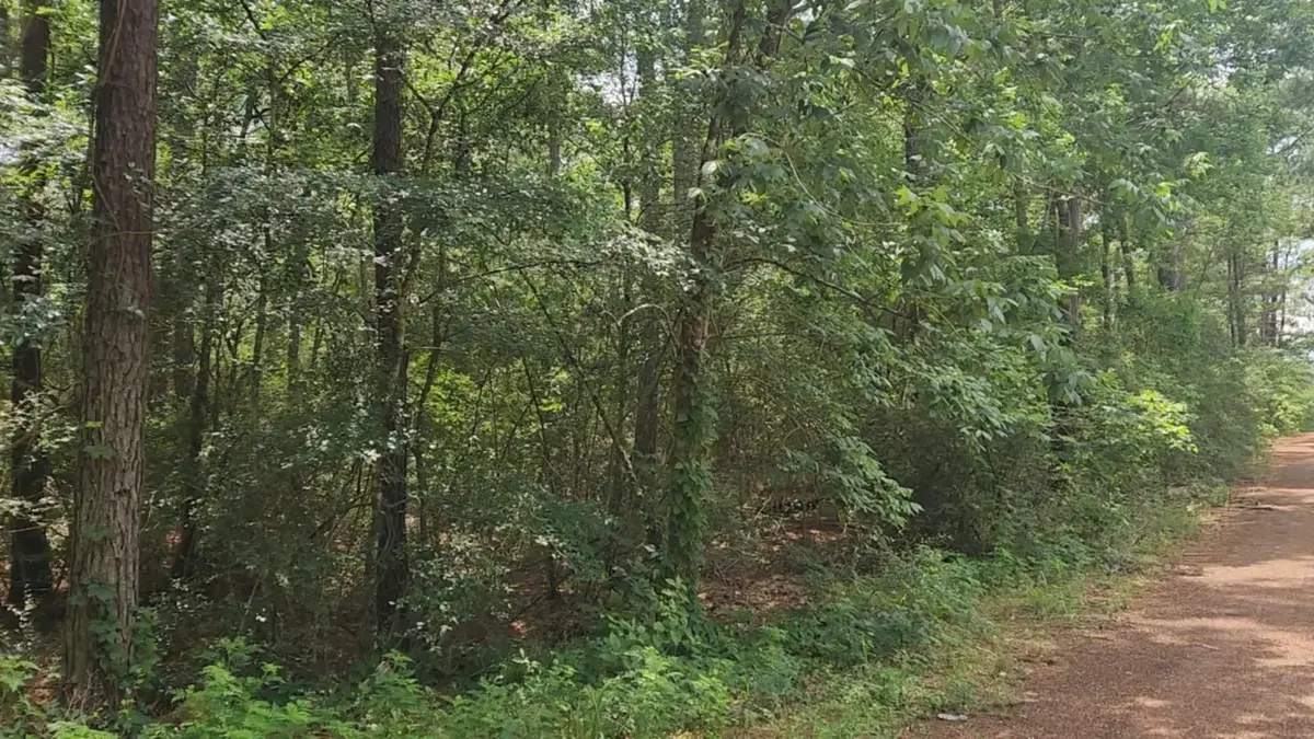 Lot 7 Cherry Tree Lane, Plantersville, TX 77363 - Image #1