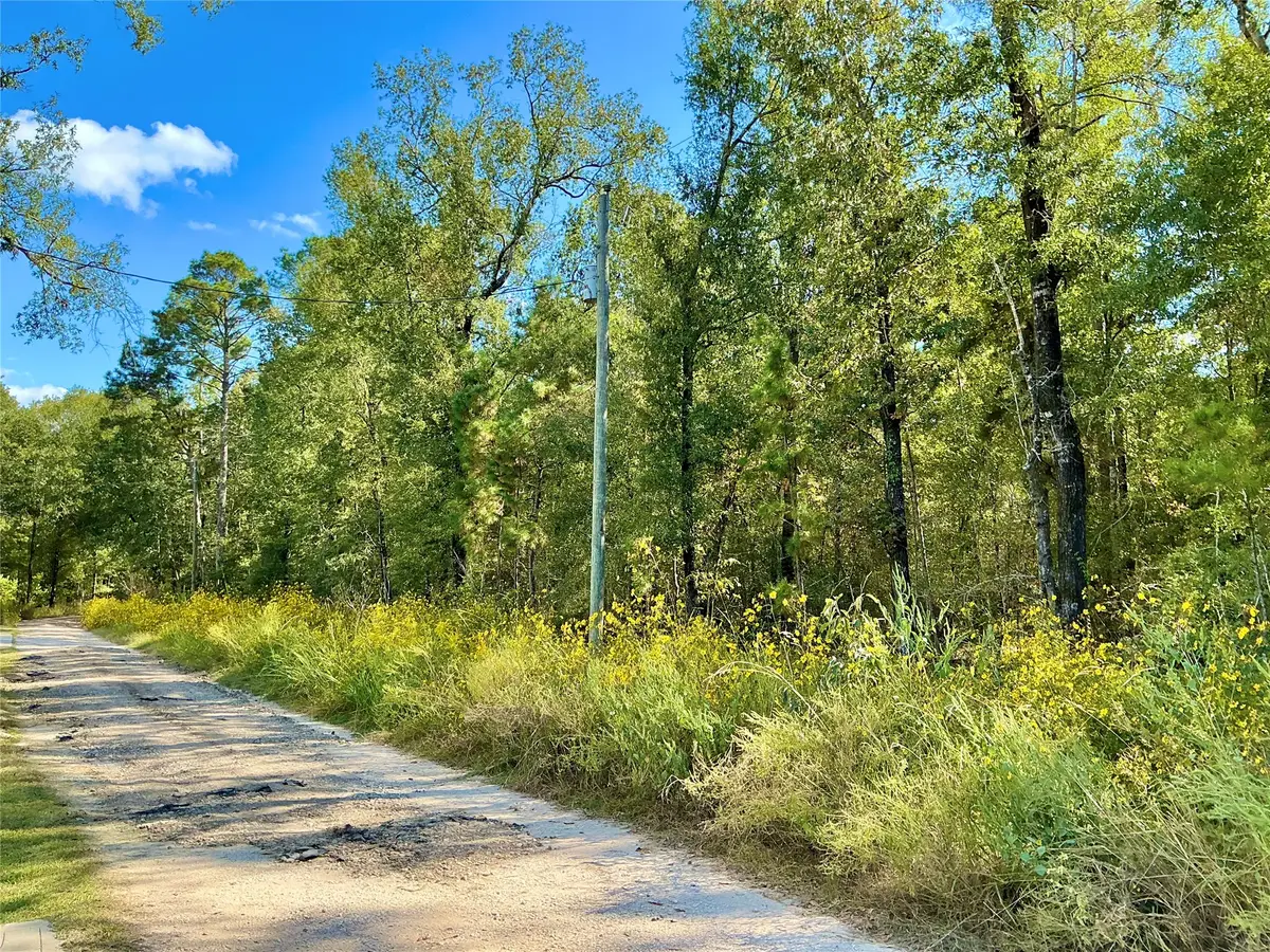 TBA Wendy Way Way, Livingston, TX 77351 - #1