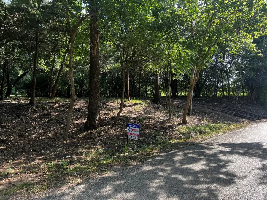 00 Chadwick Hogan Road, Chappell Hill, TX 77426 - #3