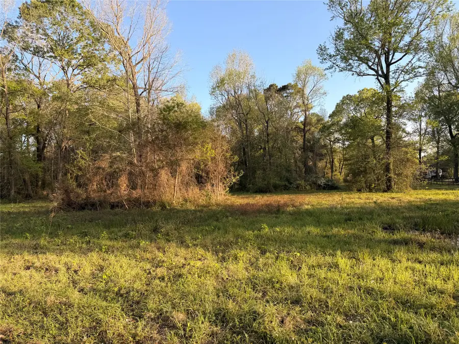 TBD County Road 2284 Freddie Rice Road, Cleveland, TX 77327 - #2