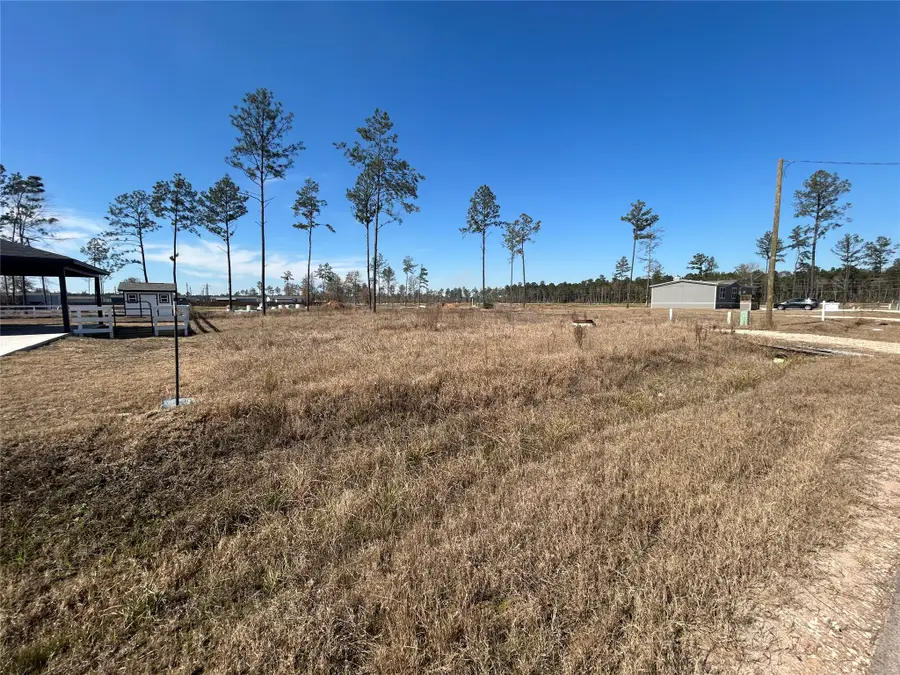 12228 Truchard Drive, Conroe, TX 77306 - #2