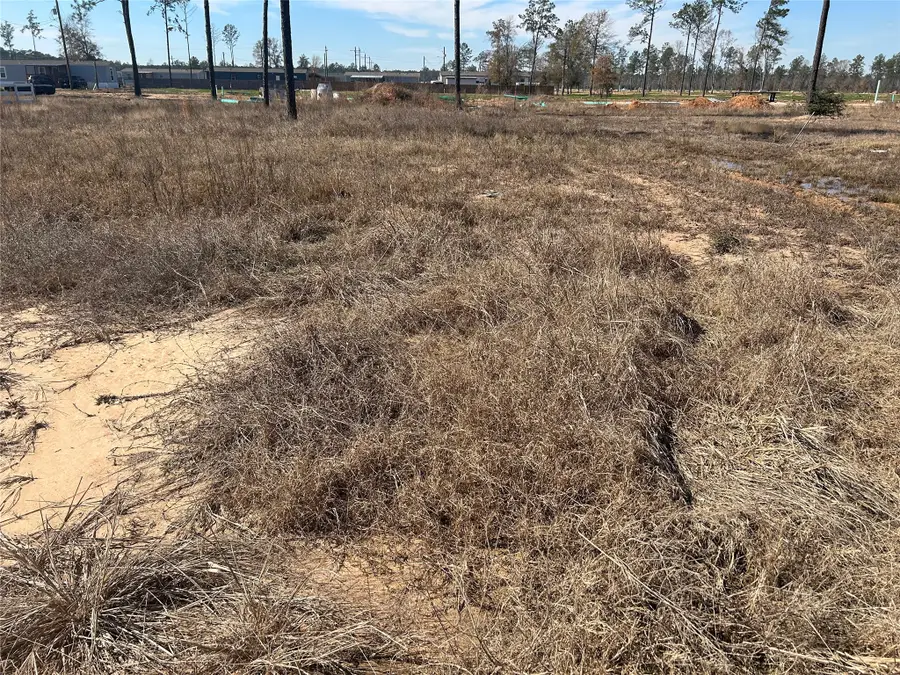 12228 Truchard Drive, Conroe, TX 77306 - #3