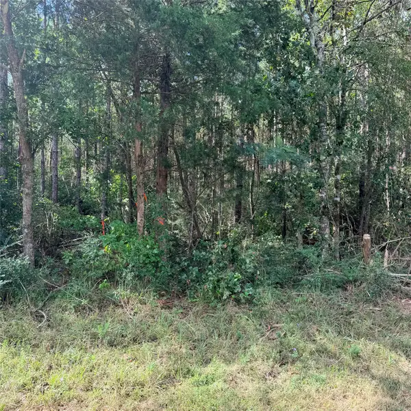 TBD Fm 943 3 Acres, Livingston, TX 77351
