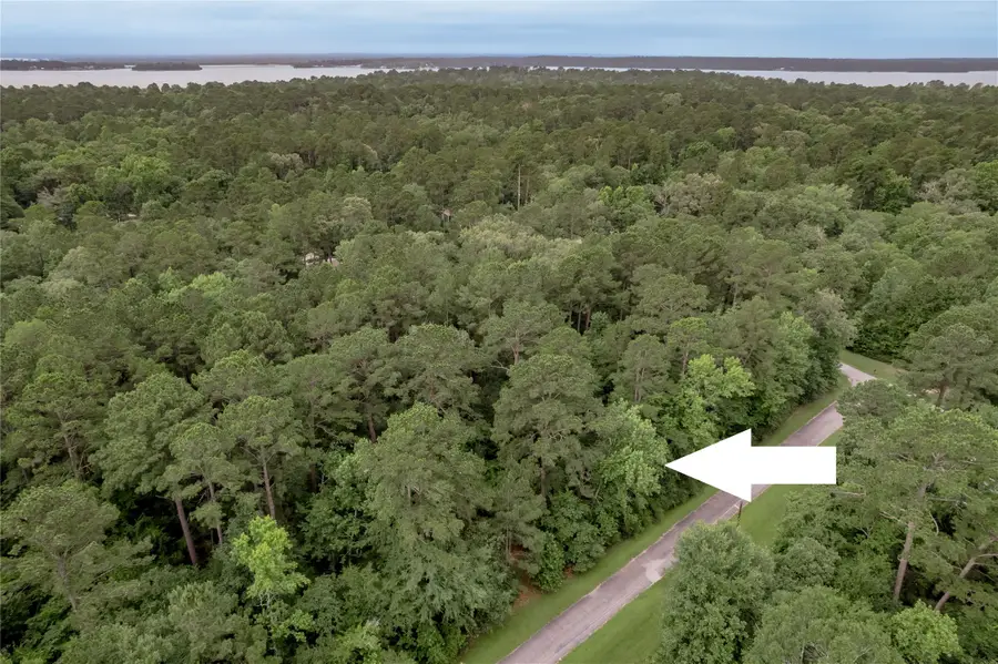 Lot 04 Sweetgum Drive, Trinity, TX 75862 - #2