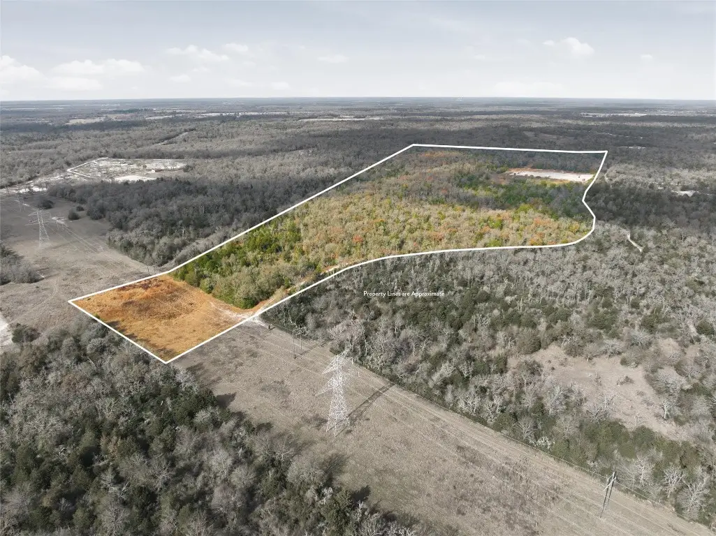 62 Acres Fm-937, Groesbeck, TX 76642 - #1