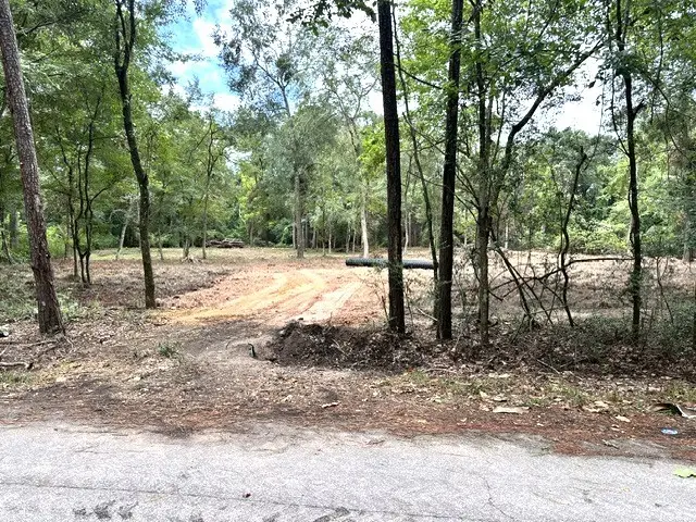 0 Pine Creek Road, Hockley, TX 77447 - #1