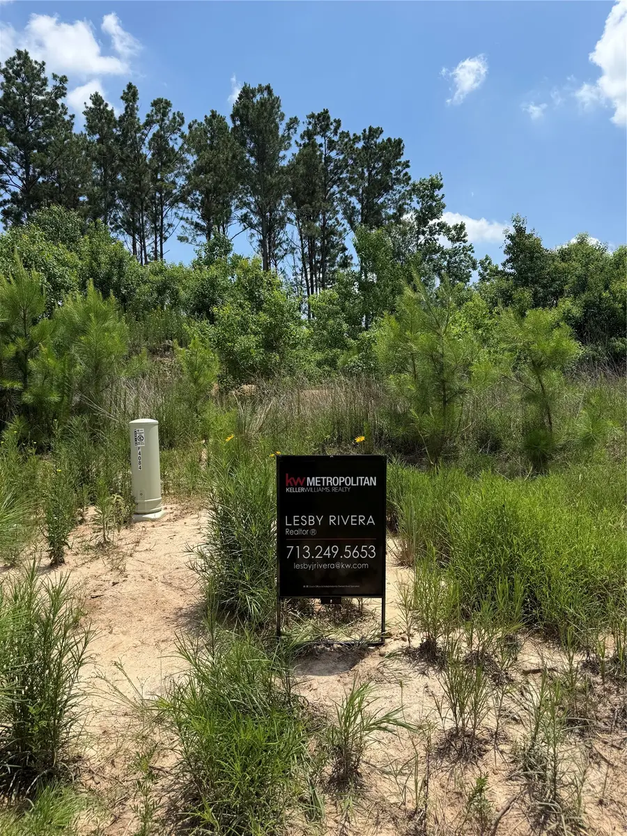4084 Road 5872, Cleveland, TX 77327 - #2