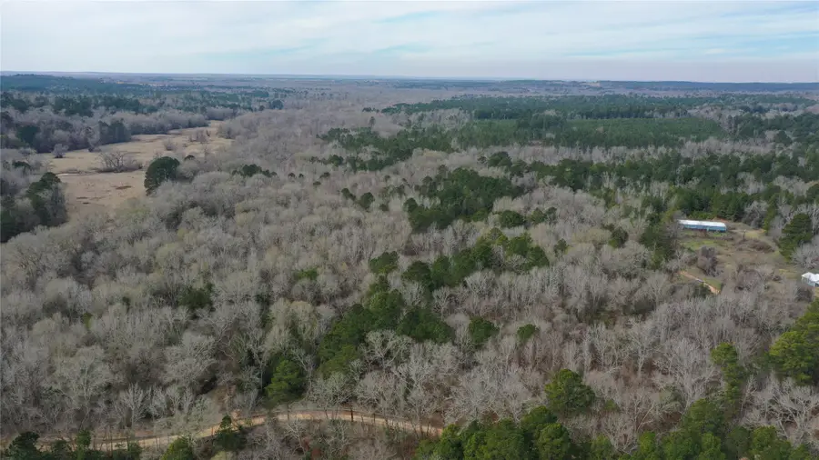 tbdLot 3 County Road 2240, Grapeland, TX 75844 - Image #3