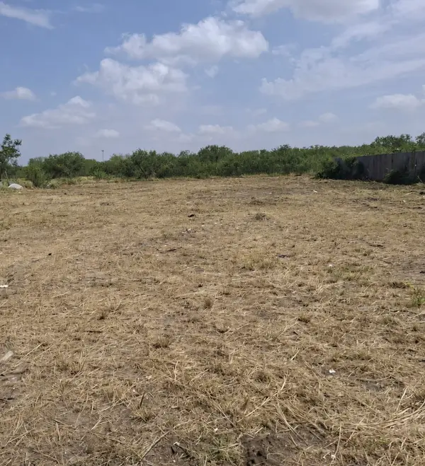 4412 La Mancha Drive, Mission, TX 78574