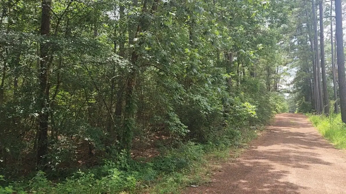 Lot 6 Cherry Tree Lane, Plantersville, TX 77363 - Image #1