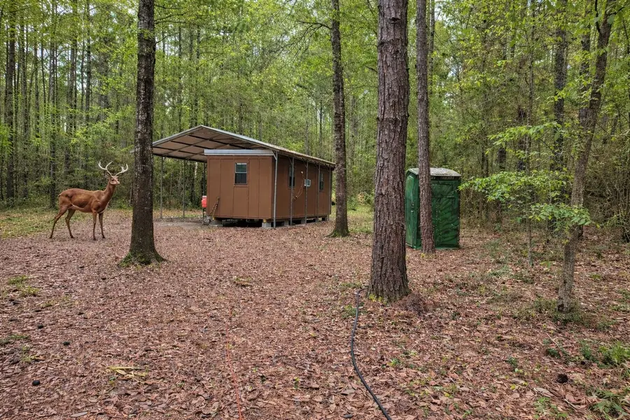 2370 Westville Road, Groveton, TX 75845 - #2