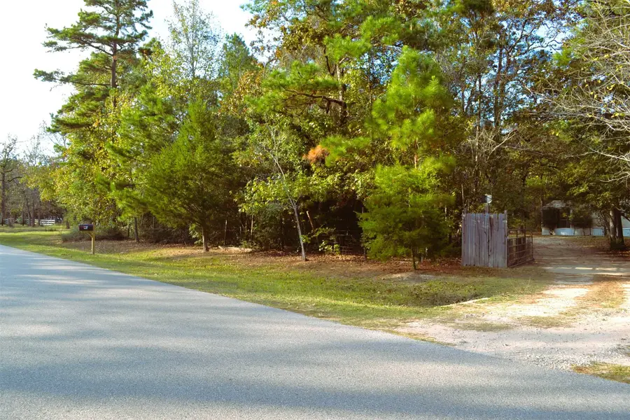 24854 Shady Oaks Boulevard, Montgomery, TX 77316 - Image #2