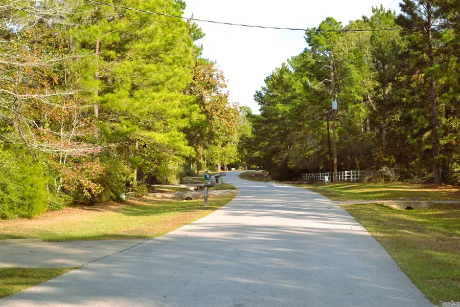 24854 Shady Oaks Boulevard, Montgomery, TX 77316 - Image #3