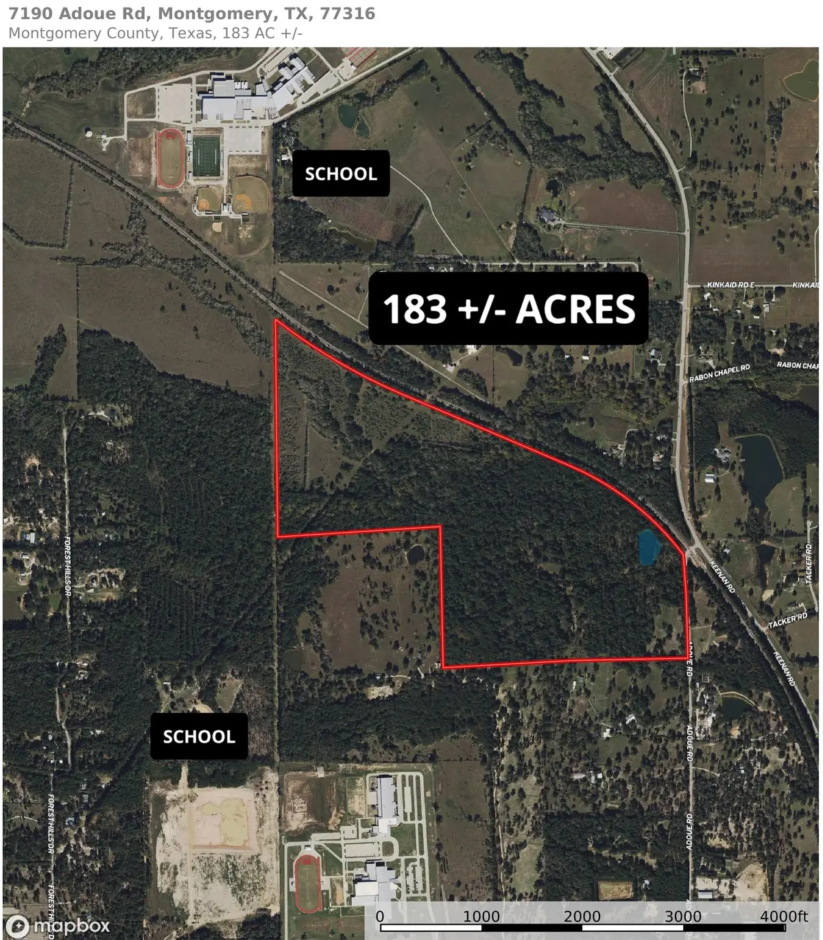 7190 Adoue Road, Montgomery, TX 77316 - Image #1