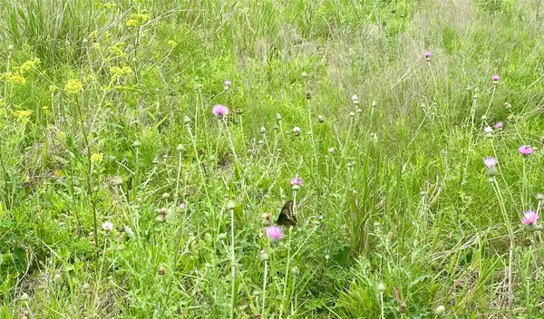 159 N Witte Rd Ranch Ne, Bellville, TX 77418