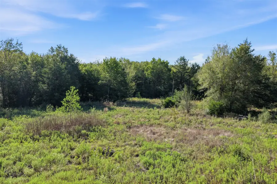 845 Mathis Meadows Lane, Madisonville, TX 77864 - #2