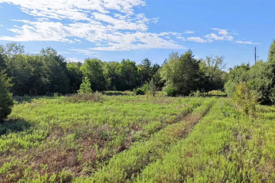 845 Mathis Meadows Lane, Madisonville, TX 77864 - #3