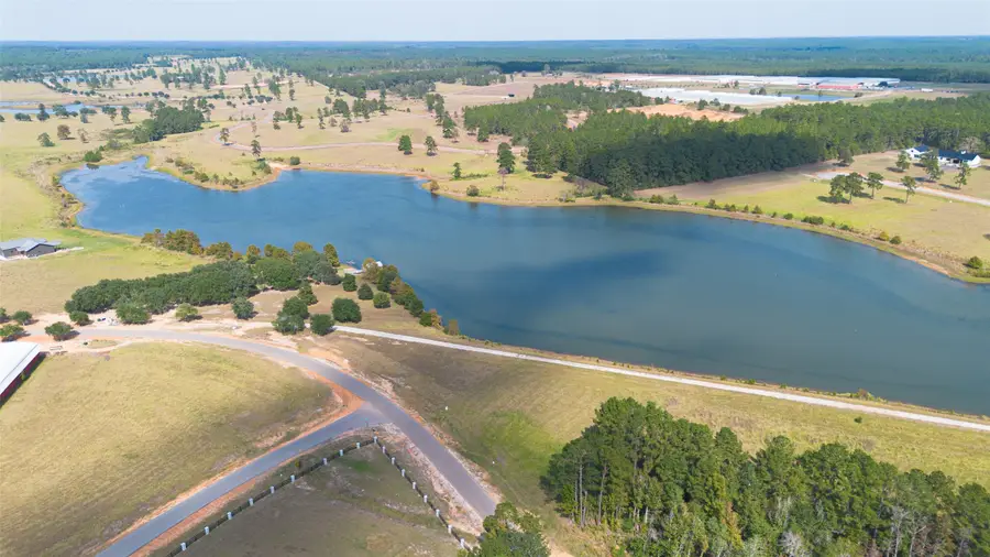 LOT 42 Lakeland Drive, Hillister, TX 77624 - #2