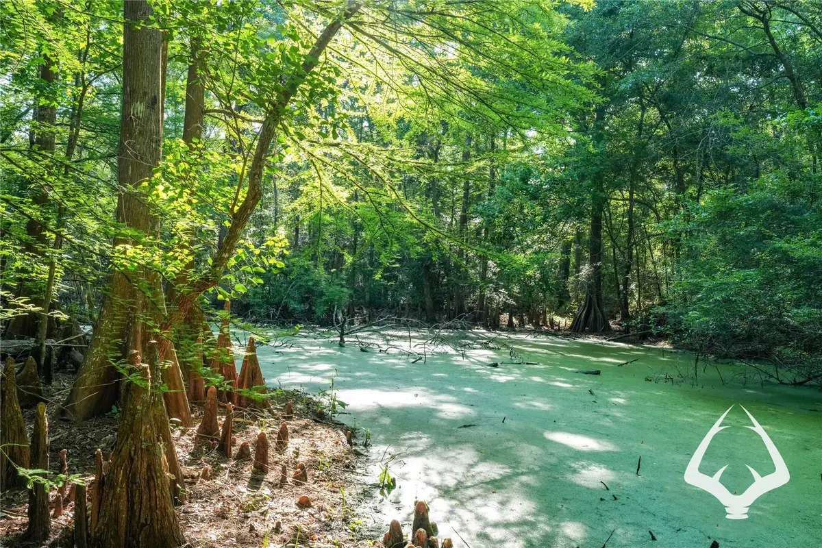 00 Hwy 69, Colmesneil, TX 75938 - #1