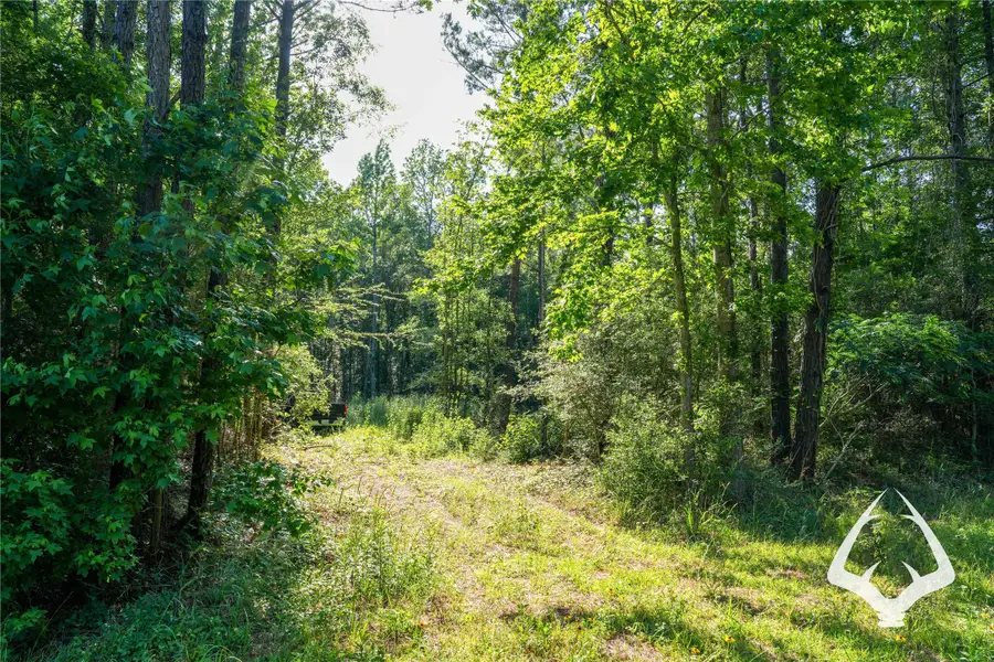 00 Hwy 69, Colmesneil, TX 75938 - #3